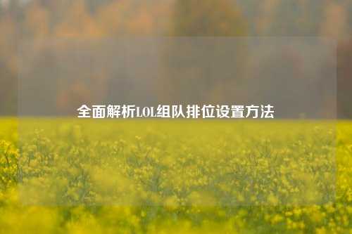 全面解析LOL组队排位设置方法