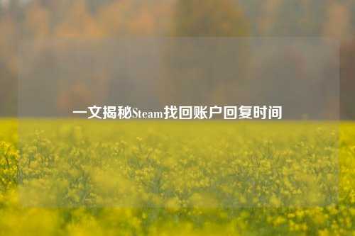 一文揭秘Steam找回账户回复时间
