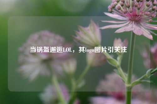 当锅盔邂逅LOL，其logo图片引关注
