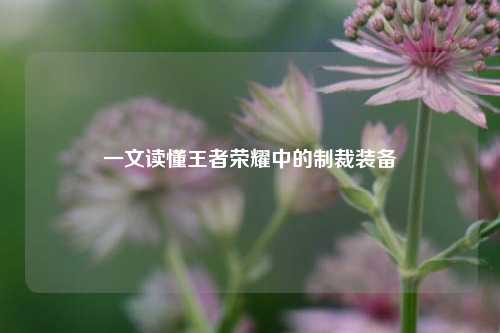 一文读懂王者荣耀中的制裁装备