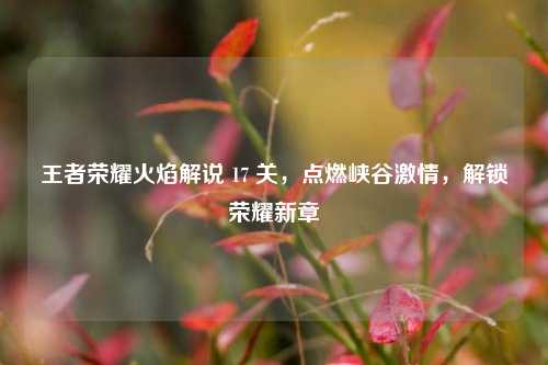 王者荣耀火焰解说 17 关，点燃峡谷激情，解锁荣耀新章
