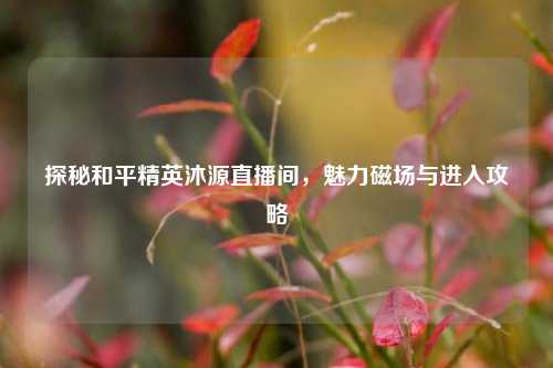 探秘和平精英沐源直播间，魅力磁场与进入攻略