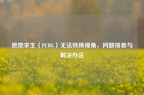 绝地求生（PUBG）无法转换视角，问题排查与解决办法