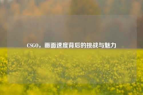 CSGO，画面速度背后的挑战与魅力