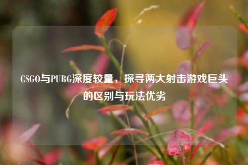 CSGO与PUBG深度较量，探寻两大射击游戏巨头的区别与玩法优劣