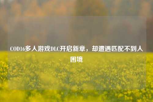 COD16多人游戏DLC开启新章，却遭遇匹配不到人困境