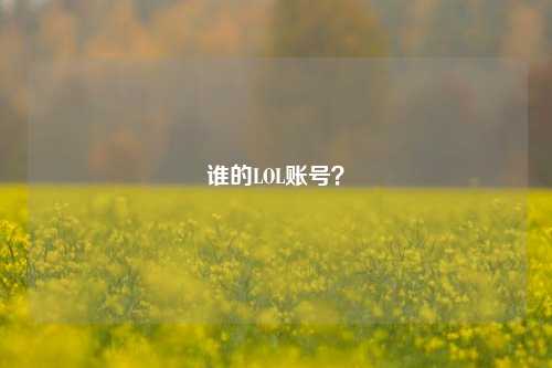 谁的LOL账号？