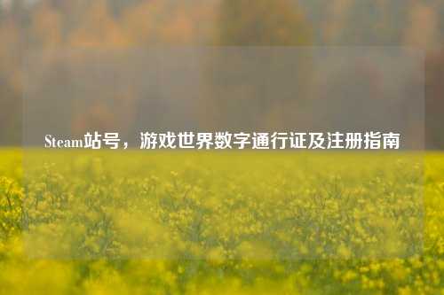 Steam站号，游戏世界数字通行证及注册指南