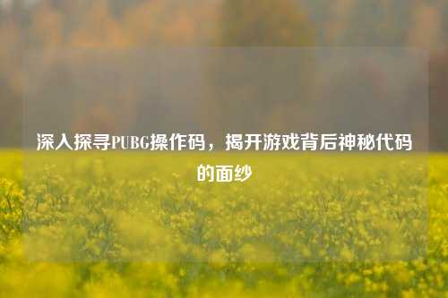 深入探寻PUBG操作码，揭开游戏背后神秘代码的面纱