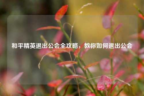 和平精英退出公会全攻略，教你如何退出公会