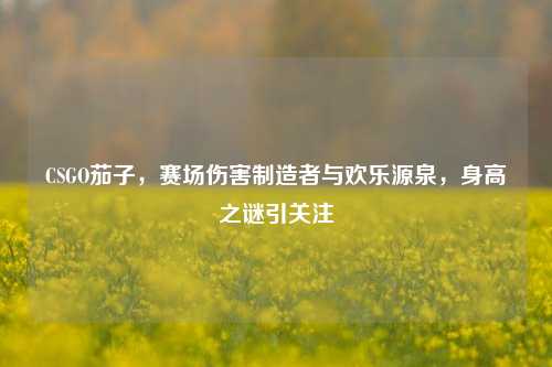 CSGO茄子，赛场伤害制造者与欢乐源泉，身高之谜引关注