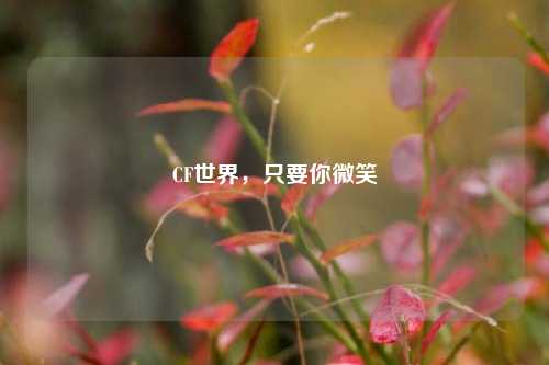 CF世界，只要你微笑