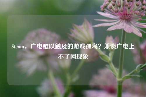 Steam，广电难以触及的游戏孤岛？兼谈广电上不了网现象