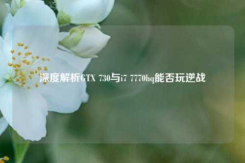 深度解析GTX 730与i7 7770hq能否玩逆战