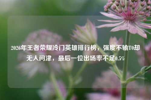2026年王者荣耀冷门英雄排行榜，强度不输T0却无人问津，最后一位出场率不足0.5%