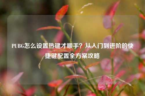 PUBG怎么设置热键才顺手？从入门到进阶的快捷键配置全方案攻略