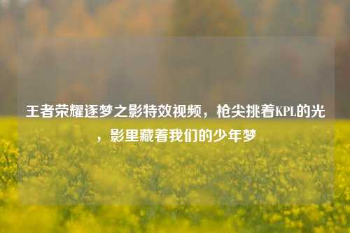王者荣耀逐梦之影特效视频，枪尖挑着KPL的光，影里藏着我们的少年梦