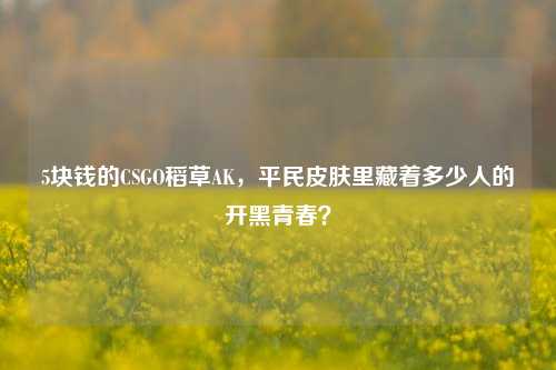 5块钱的CSGO稻草AK，平民皮肤里藏着多少人的开黑青春？