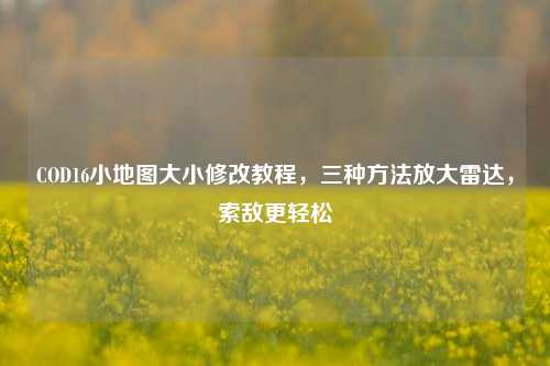 COD16小地图大小修改教程,三种方法放大雷达,索敌更轻松