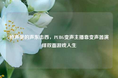 枪声里的声东击西，PUBG变声主播靠变声器演绎双面游戏人生