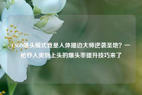 CSGO爆头模式竟是人体描边大师逆袭圣地？一枪秒人爽到上头的爆头率提升技巧来了