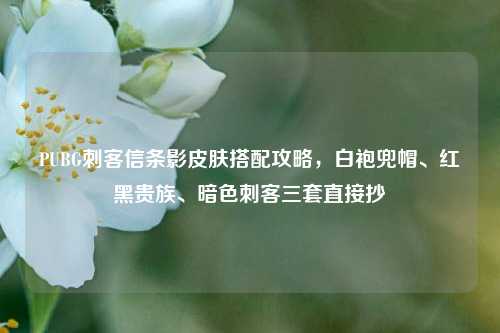 PUBG刺客信条影皮肤搭配攻略，白袍兜帽、红黑贵族、暗色刺客三套直接抄