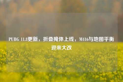 PUBG 11.8更新，折叠掩体上线，M416与地图平衡迎来大改