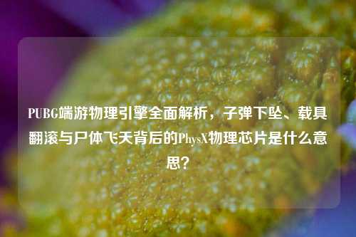 PUBG端游物理引擎全面解析，子弹下坠、载具翻滚与尸体飞天背后的PhysX物理芯片是什么意思？
