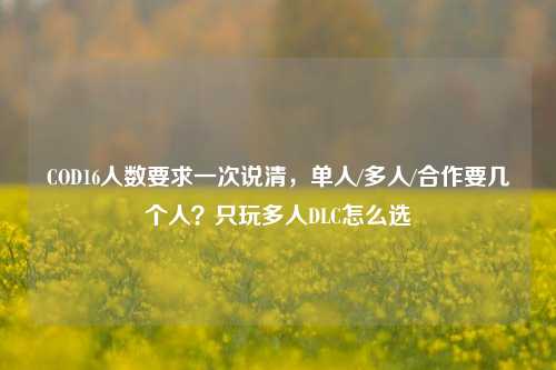 COD16人数要求一次说清，单人/多人/合作要几个人？只玩多人DLC怎么选