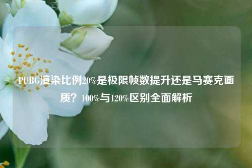 PUBG渲染比例20%是极限帧数提升还是马赛克画质？100%与120%区别全面解析