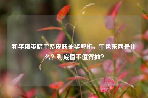 和平精英暗黑系皮肤抽奖解析，黑色东西是什么？到底值不值得抽？