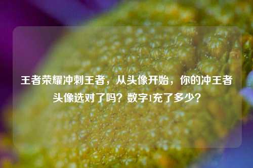 王者荣耀冲刺王者，从头像开始，你的冲王者头像选对了吗？数字1充了多少？