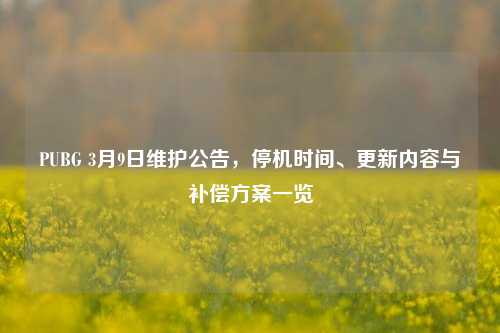 PUBG 3月9日维护公告，停机时间、更新内容与补偿方案一览