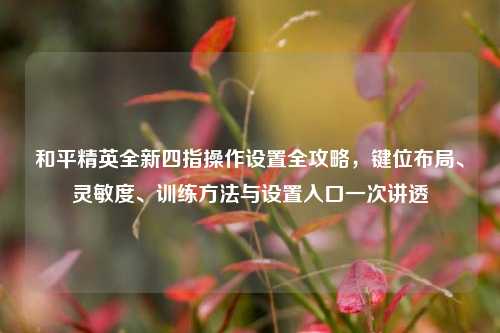 和平精英全新四指操作设置全攻略，键位布局、灵敏度、训练方法与设置入口一次讲透
