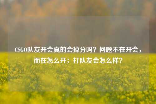 CSGO队友开会真的会掉分吗?问题不在开会,而在怎么开;打队友会怎么样?