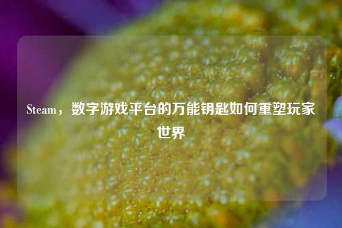 Steam，数字游戏平台的万能钥匙如何重塑玩家世界