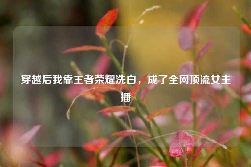 穿越后我靠王者荣耀洗白，成了全网顶流女主播
