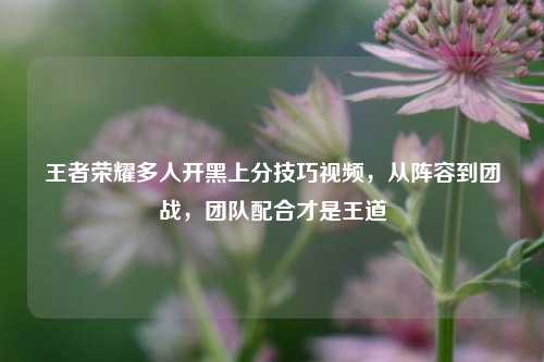 王者荣耀多人开黑上分技巧视频，从阵容到团战，团队配合才是王道