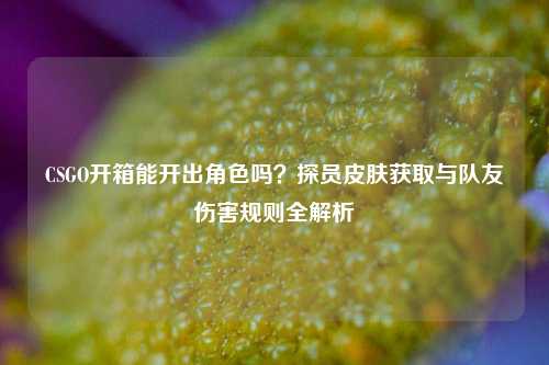 CSGO开箱能开出角色吗？探员皮肤获取与队友伤害规则全解析