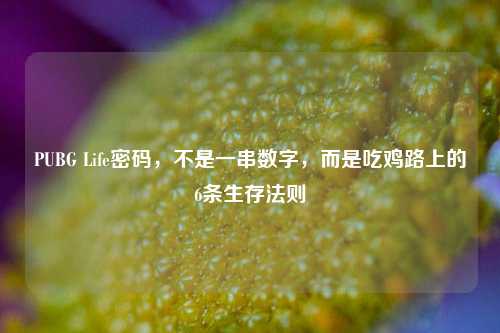 PUBG Life密码，不是一串数字，而是吃鸡路上的6条生存法则