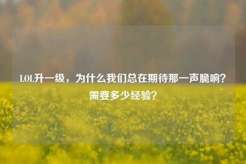 LOL升一级，为什么我们总在期待那一声脆响？需要多少经验？