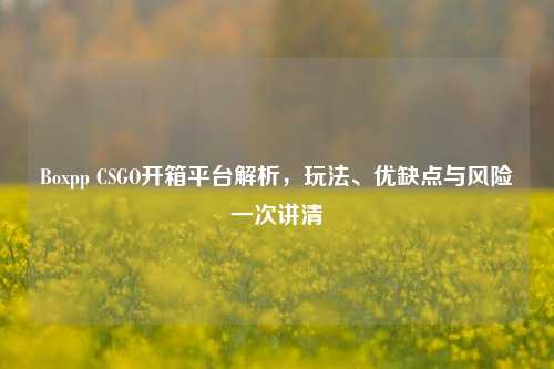 Boxpp CSGO开箱平台解析，玩法、优缺点与风险一次讲清