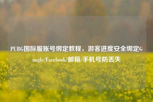 PUBG国际服账号绑定教程，游客进度安全绑定Google/Facebook/邮箱/手机号防丢失