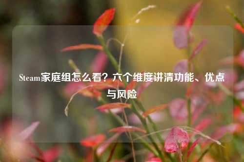 Steam家庭组怎么看？六个维度讲清功能、优点与风险