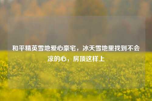 和平精英雪地爱心豪宅，冰天雪地里找到不会凉的心，房顶这样上