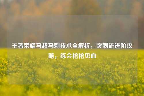王者荣耀马超马刺技术全解析，突刺流进阶攻略，练会枪枪见血