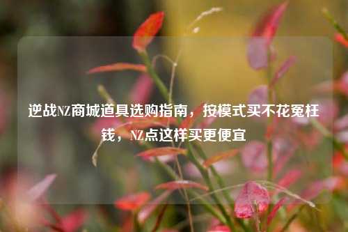 逆战NZ商城道具选购指南，按模式买不花冤枉钱，NZ点这样买更便宜