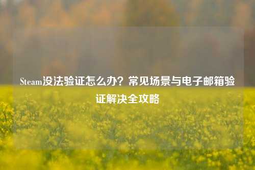 Steam没法验证怎么办？常见场景与电子邮箱验证解决全攻略