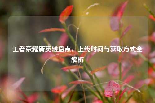 王者荣耀新英雄盘点,上线时间与获取方式全解析