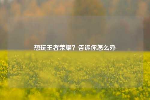 想玩王者荣耀？告诉你怎么办
